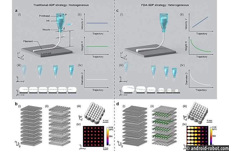 Разрабатывают новую стратегию 3D-печати с пористыми структурами с контролируемыми градиентами