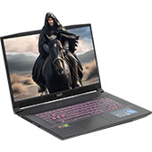 Игровой ноутбук MSI Katana A17 AI B8VG (858RU) с AMD Ryzen 9 8945HS и Nvidia GeForce RTX 4070 Laptop: ИИ совершенствует смекалку